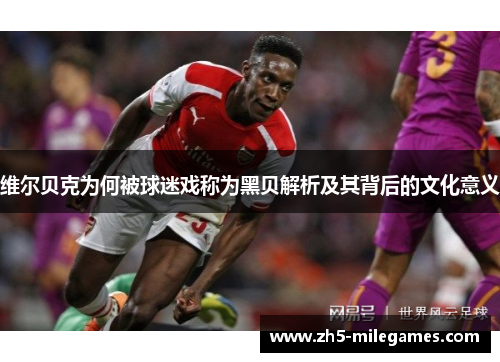 维尔贝克为何被球迷戏称为黑贝解析及其背后的文化意义