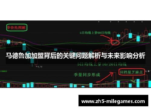 马德鲁加加盟背后的关键问题解析与未来影响分析